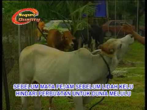 El Surayya -  Menempuh Hidup