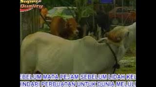 Download lagu El Surayya - Menempuh Hidup