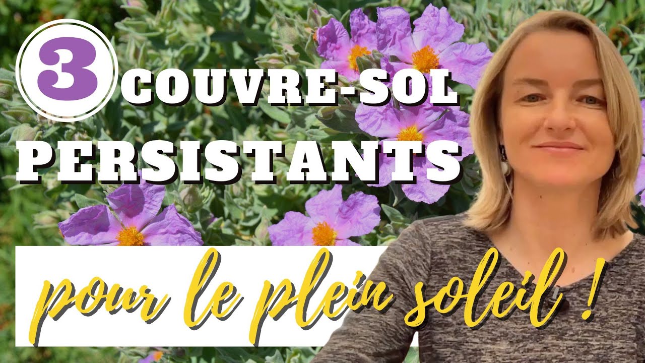 3 couvre-sol PERSISTANTS pour le plein soleil !