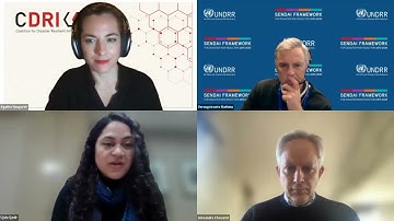 Investment in resilient infrastructure: the role of taxonomies