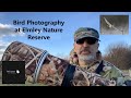 Bird Photography with the Sony A1 - Elmley Nature Reserve