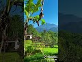 Like And Subscriber Guys. . !!!