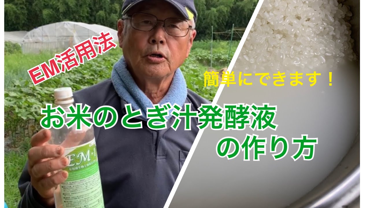 【EM自然農法】EM活用法　米の研ぎ汁発酵液の作り方