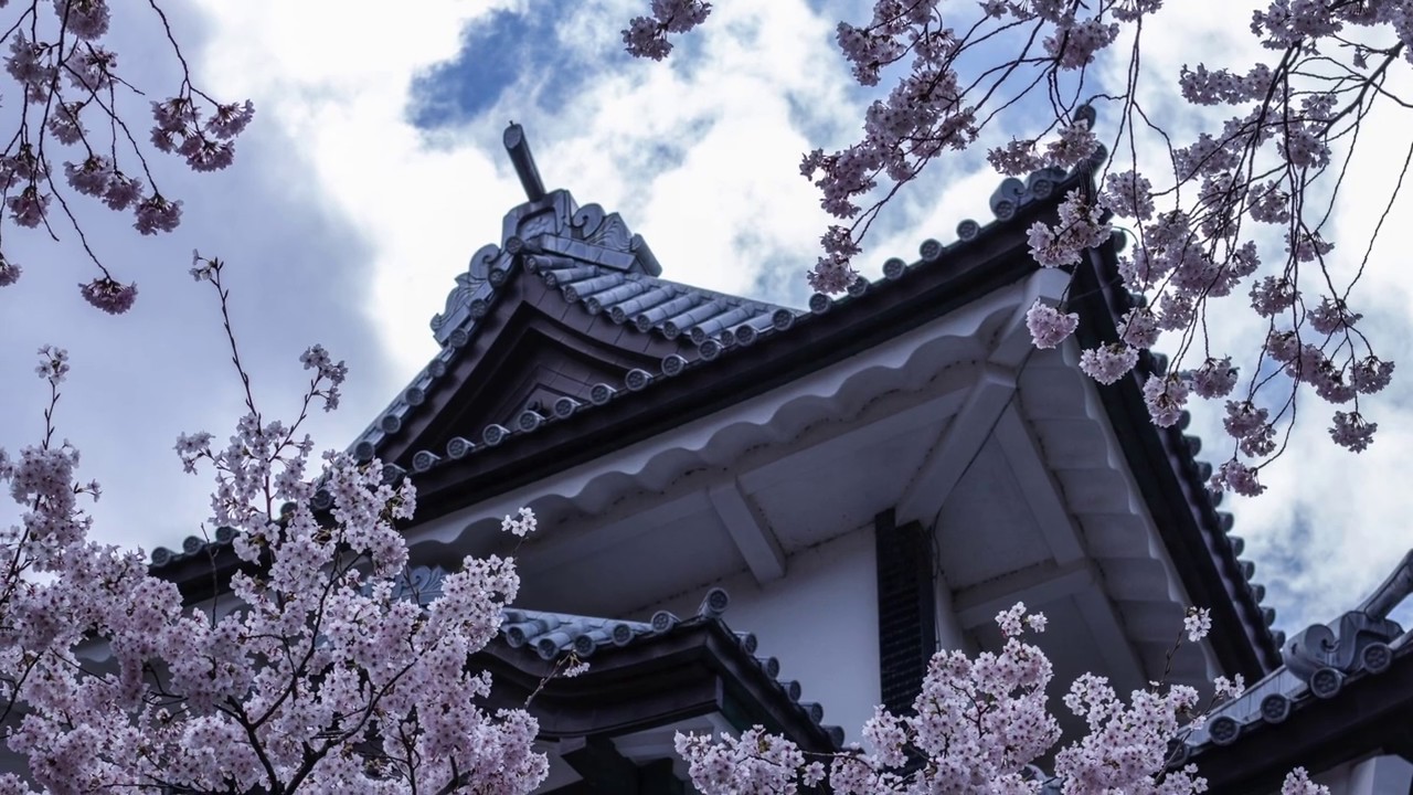 Watch 樱花 さくら Sakura Japanese folk song 日本民谣 尺八演奏者:长谷川 将山 Hasegawa Shozan;选自瑞鸣音乐_____全球音乐大奖获奖音乐专辑:《荒城之月》 on YouTube Watch 樱花 さくら Sakura Japanese folk song 日本民谣 尺八演奏者:长谷川 将山 Hasegawa Shozan;选自瑞鸣音乐_____全球音乐大奖获奖音乐专辑:《荒城之月》 on YouTube