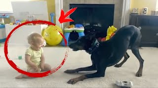 Малышка играла с доберманом, но вдруг, пёс оскалился на девочку, зарычал и схватил ее…