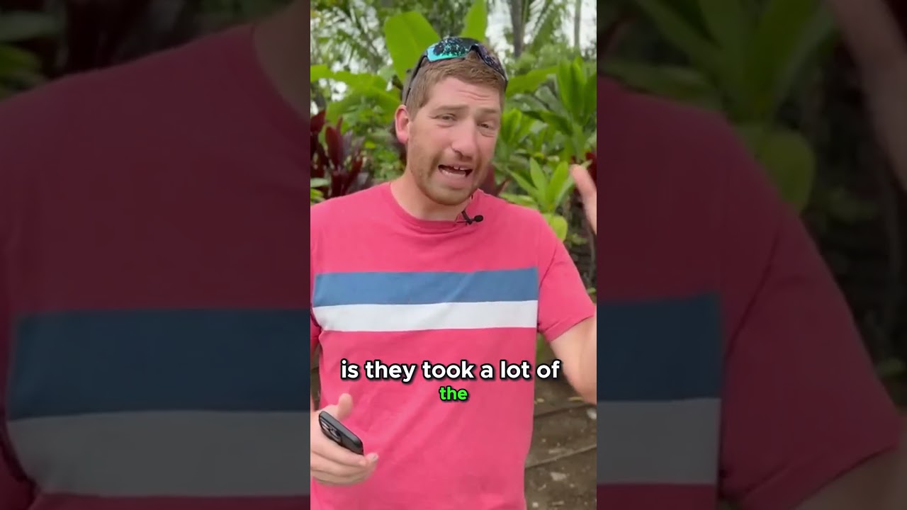 Fitbit Charge 6 New Heart Rate Sensor!! NEW FEATURE 