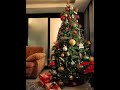 ”Fiestas Navideñas especiales” … 2024