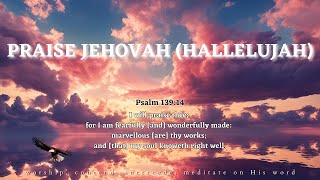 Praise Jehovah (Hallelujah) | Worship & Intercession String Instrumental