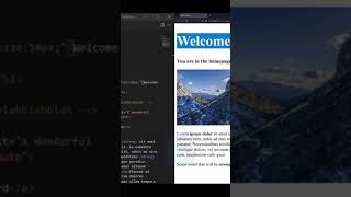 Introduction to CSS 🎨🎨 Malayalam #shorts