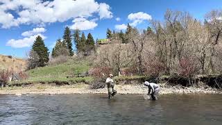 IMG 5740 chad MERICA