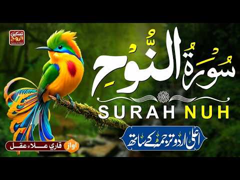 Surah Nuh سورة نوح with Urdu & Hindi Translation | Soul Purifying Tilawat | Taskeen Al Rooh