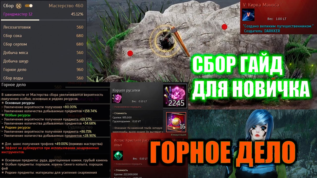 Black Desert СБОР ГАЙД ДЛЯ НОВИЧКА \ КОРАЛЛЫ РУСАЛКИ 1ккк+ в час