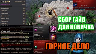 видео: Black Desert СБОР ГАЙД ДЛЯ НОВИЧКА \ КОРАЛЛЫ РУСАЛКИ 1ккк+ в час картинка: Black Desert СБОР ГАЙД ДЛЯ НОВИЧКА \ КОРАЛЛЫ РУСАЛКИ 1ккк+ в час