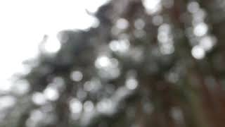 Cold Existence Remix