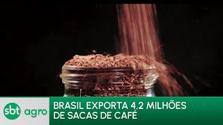 SBT Agro 20/05/24: Exportações de café do Brasil batem recorde em abril｜SBT News
