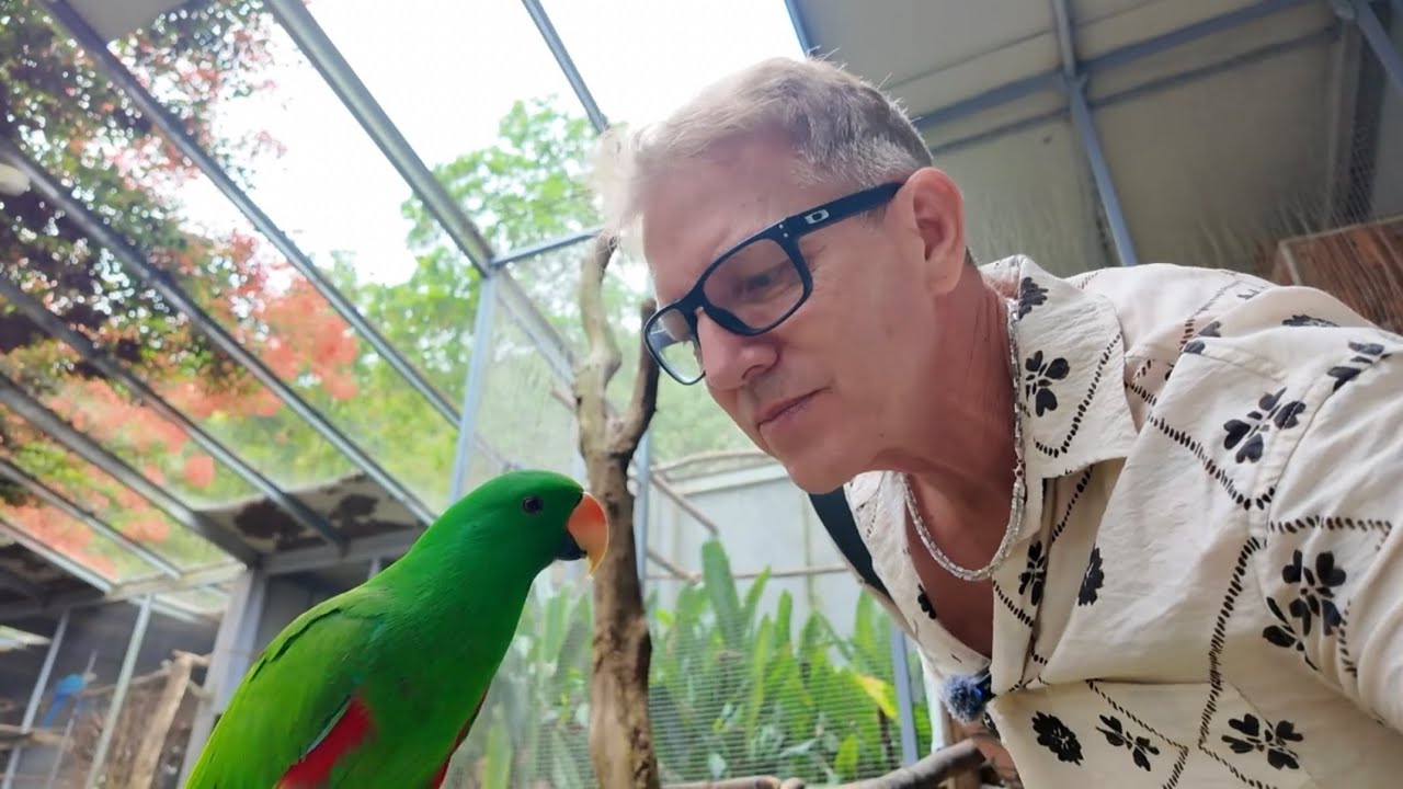 Новогодние каникулы по лунному календарю, часть 2, в курортном комплексе Vendana Lagoon Resort в ...