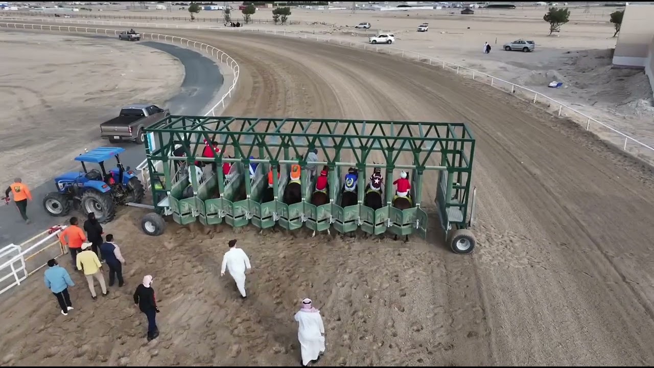 الجواد قيصر .أسطبل هيف محمد الحجرف