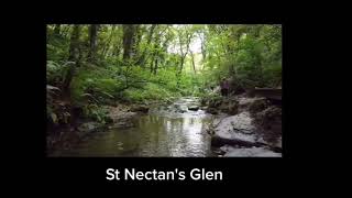 St Nectans Glen waterfall cornwall