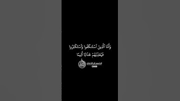 ماهر المعيقلي - سورة النساء ( برواية حفص عن عاصم ) الأية 173