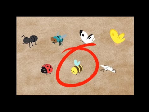 Hướng dẫn bắt