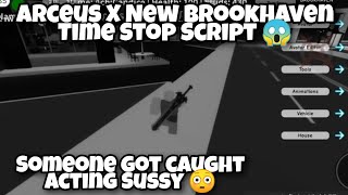 Arceus X New Brookhaven Time Stop Trolling Script 😱