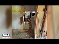 Burglars take thousands from Oak Cliff home under renovation