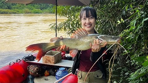 2 Ngày 1 Đêm Câu Cá Trong Rừng Biên Giới Campuchia ! Thú Vui Núi Rừng Tây Nguyên