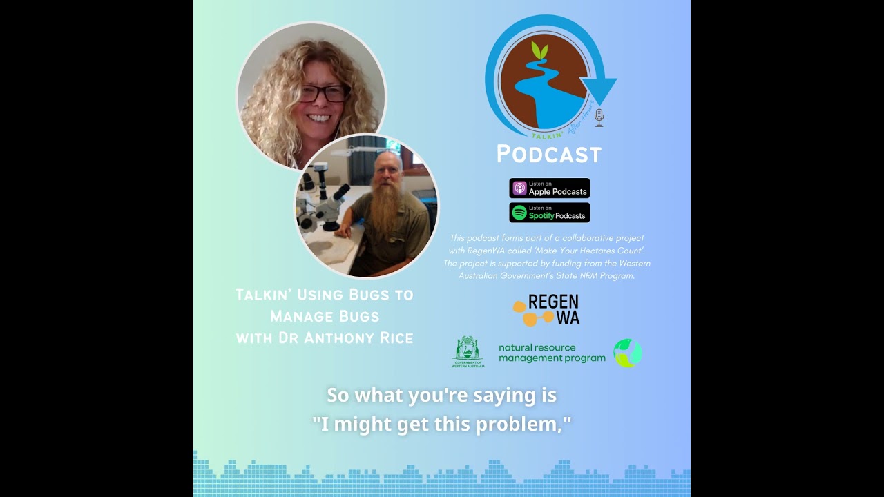 Podcast Snippet: Using Bugs to Manage Bugs