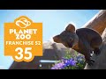 PLANET ZOO | S2 E35 - KOALA-TY TIME (Franchise Mode Lets Play)