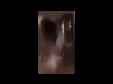 Dog Getting Launched Backwards with audio of a man on the verge of busting Meme