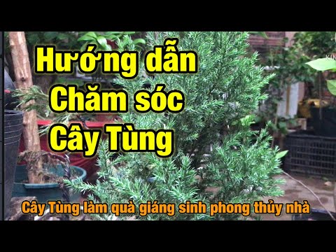 Video: Sự đồng ý trong chăm sóc có nghĩa là gì?