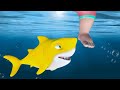Baby shark doo doo  nursery rhymes  kids songs  sharks for kids