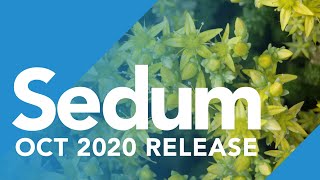 Sedum | SmarterU Release | October 2020