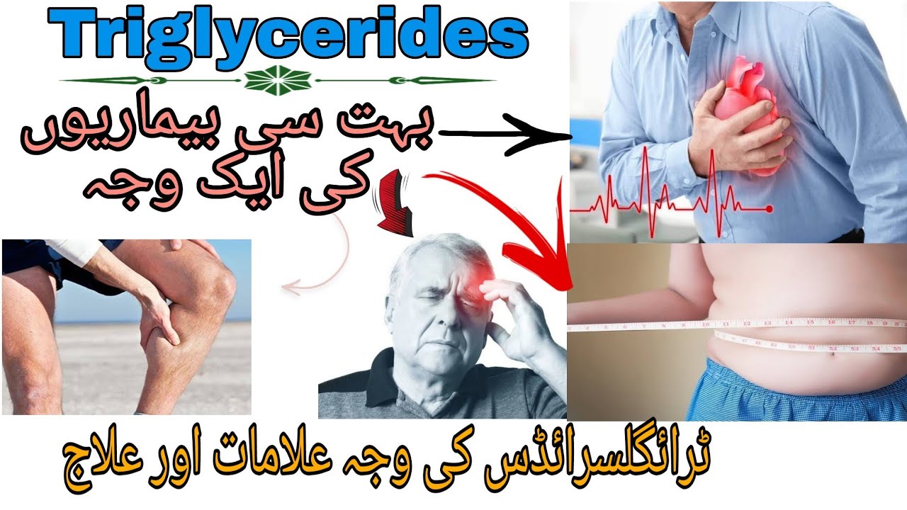 Triglycerides In Urdu Hindi Triglycerides Symptoms Causes Precautions Youtube