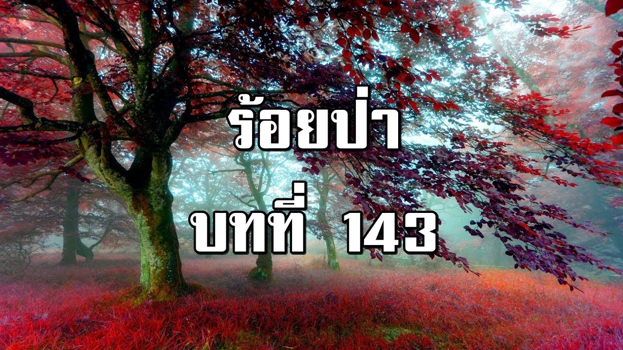 ร้อยป่า บทที่ 143 คำขอของธนิษฐา | สองยาม