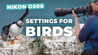 How to Set Up the Nikon D500 for Bird Photography