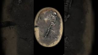 Weird ancient grave found in Germany