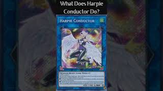 What Does Harpie Conductor Do? (Yugioh Cards Explained for Easy Deck Building)