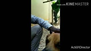 Download Lagu Vini gade Yon Chen kap fè proteksion pu corona MP3