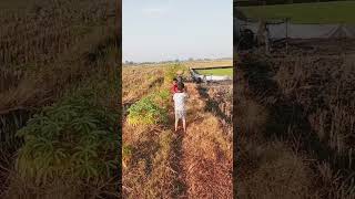 Download Lagu olahraga pagi 🤸🤸🌄 MP3