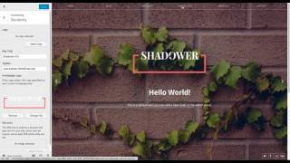 07.  How to only specify the homepage logo [Shadower Pro]