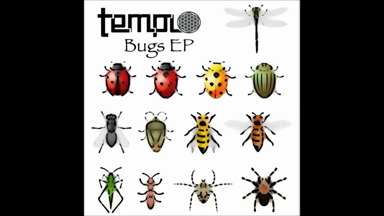 Watch Templo - Crazy 88 | Chill Space on YouTube Watch Templo - Crazy 88 | Chill Space on YouTube
