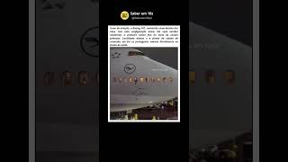 Voando no nariz da Rainha dos Céus #curiosidades