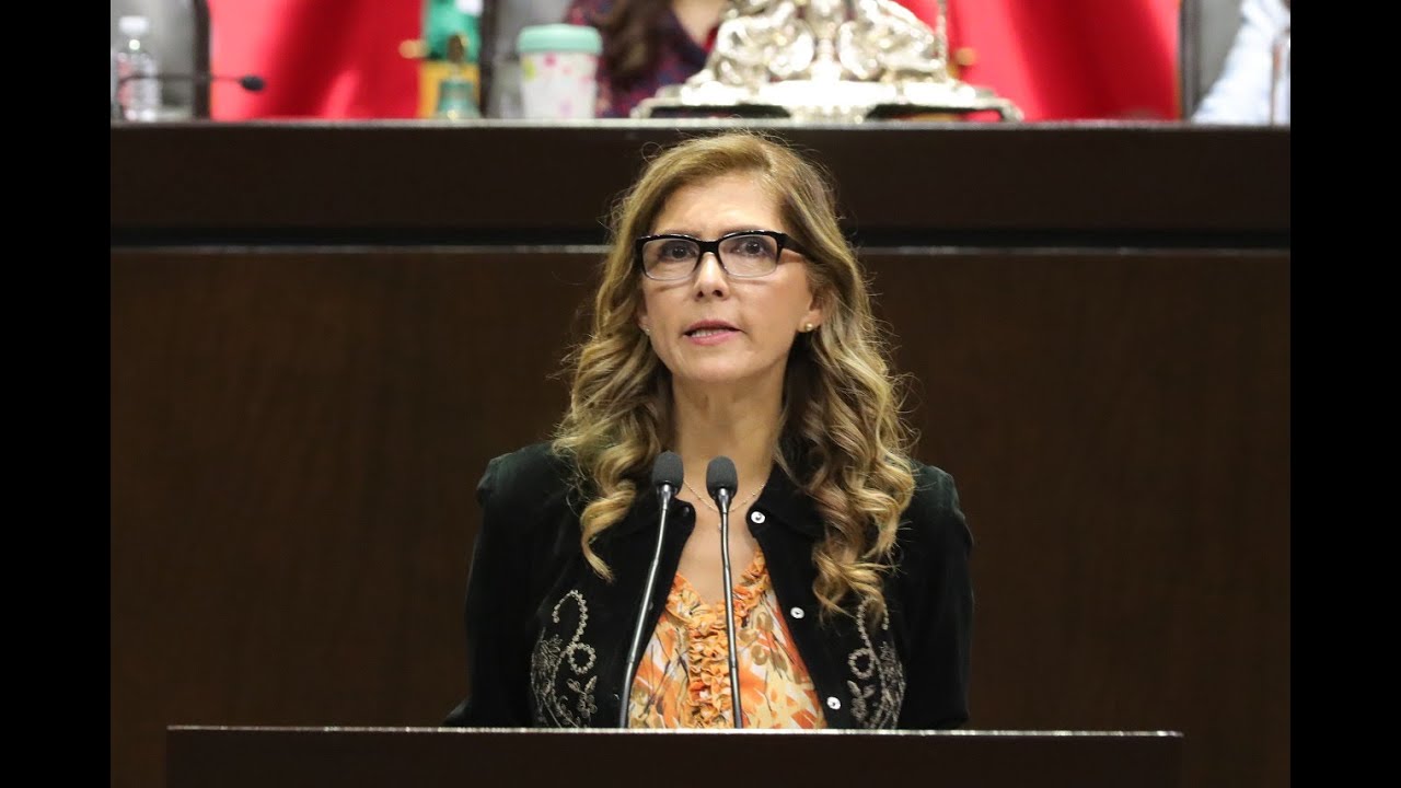 Dip. Ángeles Ayala (PAN) - Presentó reserva al dictamen en materia de Ley de Ingresos 2020 mexico primera division