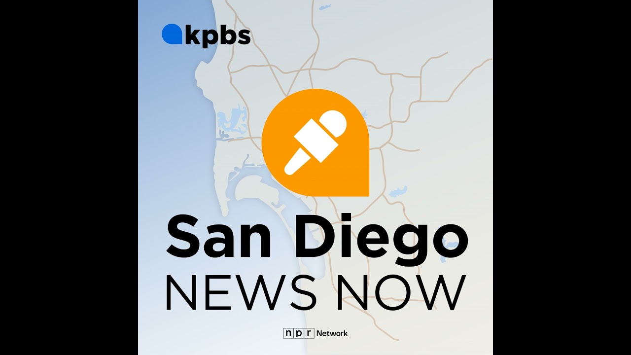 Immigration court observers briefly detained by federal agents at downtown federal building