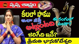 కలల పమ ఎదక వసతద అట ? Kalalo Pamu Vaste ? Nidralo Snake Dream Meaning Shubham Tv