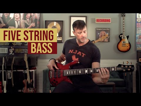 Spector Euro5 LT bass demo