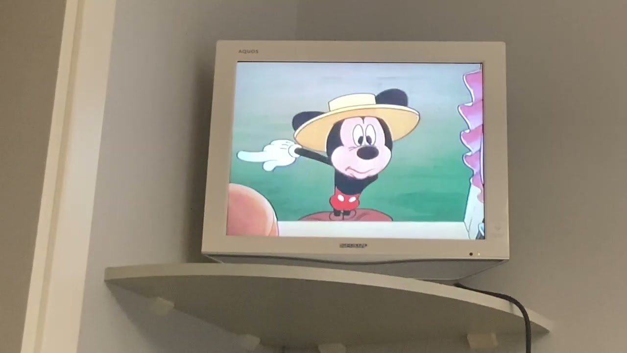 Apertura DVD il Mio Eroe Topolino 