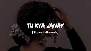 Tu Kya Janay (Slowed Reverb) | Sahir Ali Bagga | UB WRITES