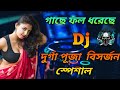 Gache Fol Dhoreche (Durga Puja visarjon Special) Footpath Dj